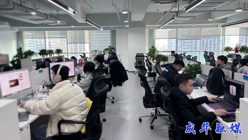 出海升級，攻堅克難 成都成華科技企業開啟2026沖刺模式